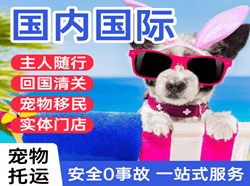 抚远东极航空快递国际宠物托运 【国